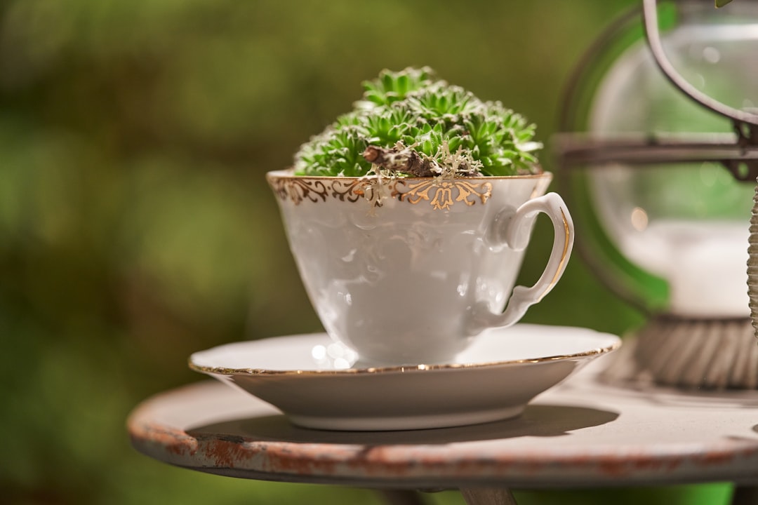 Herbal Infusions to Boost Male Vitality and Energy